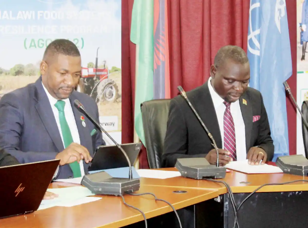 $45 million boost for Agcom II project