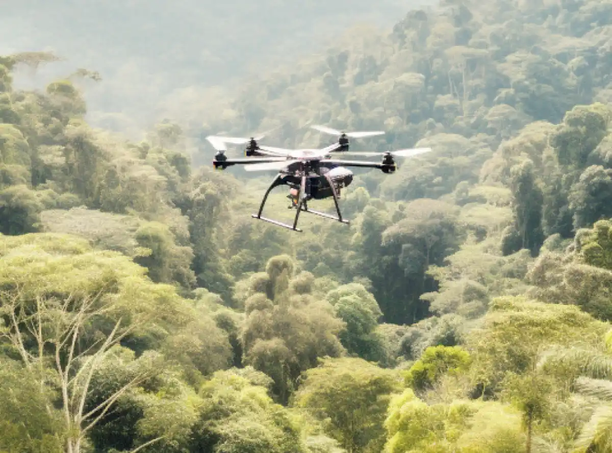 Coalition aims to steer AI towards sustainability