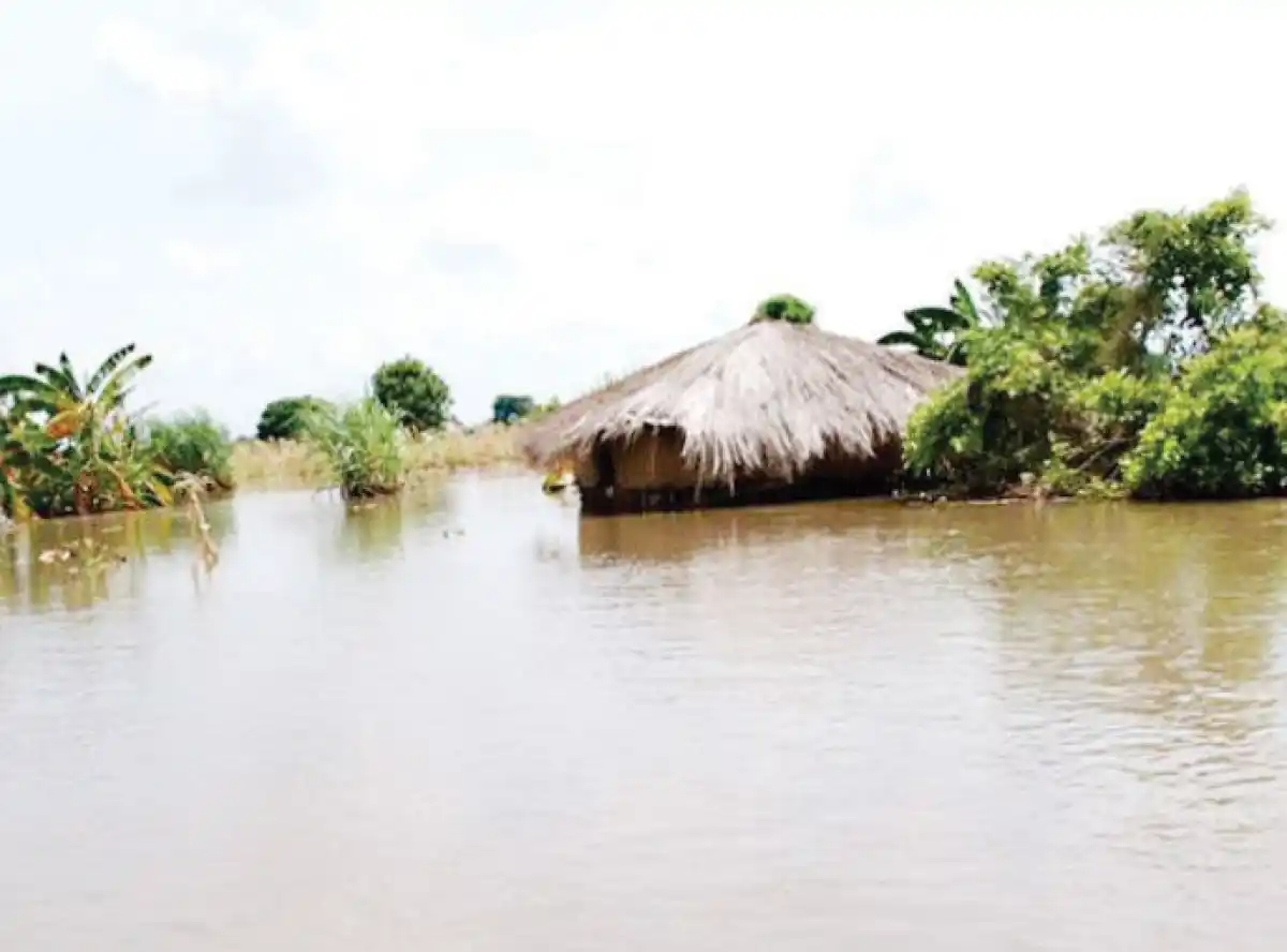 Cushioning harsh—weather pangs with crop insurance