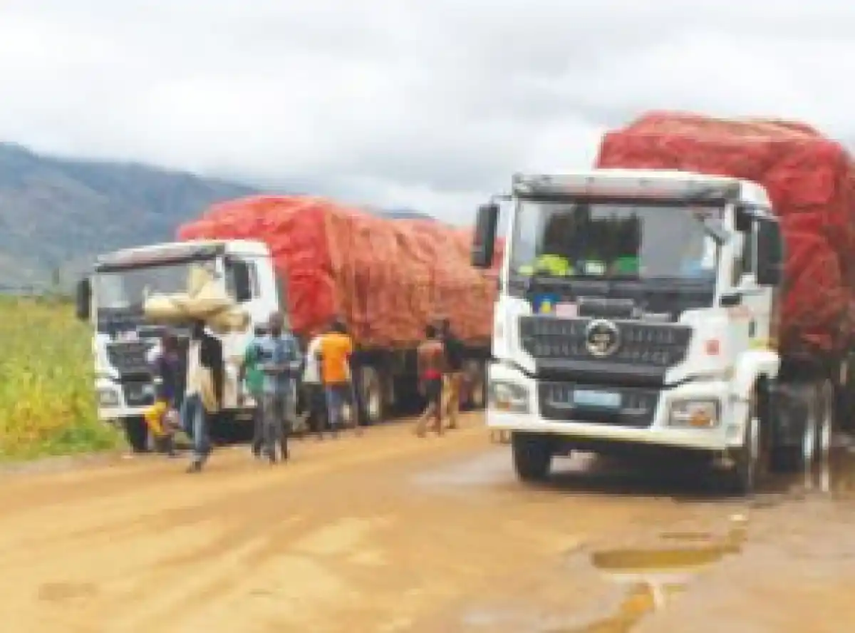 Cyclone Freddy impact haunts Muloza Border