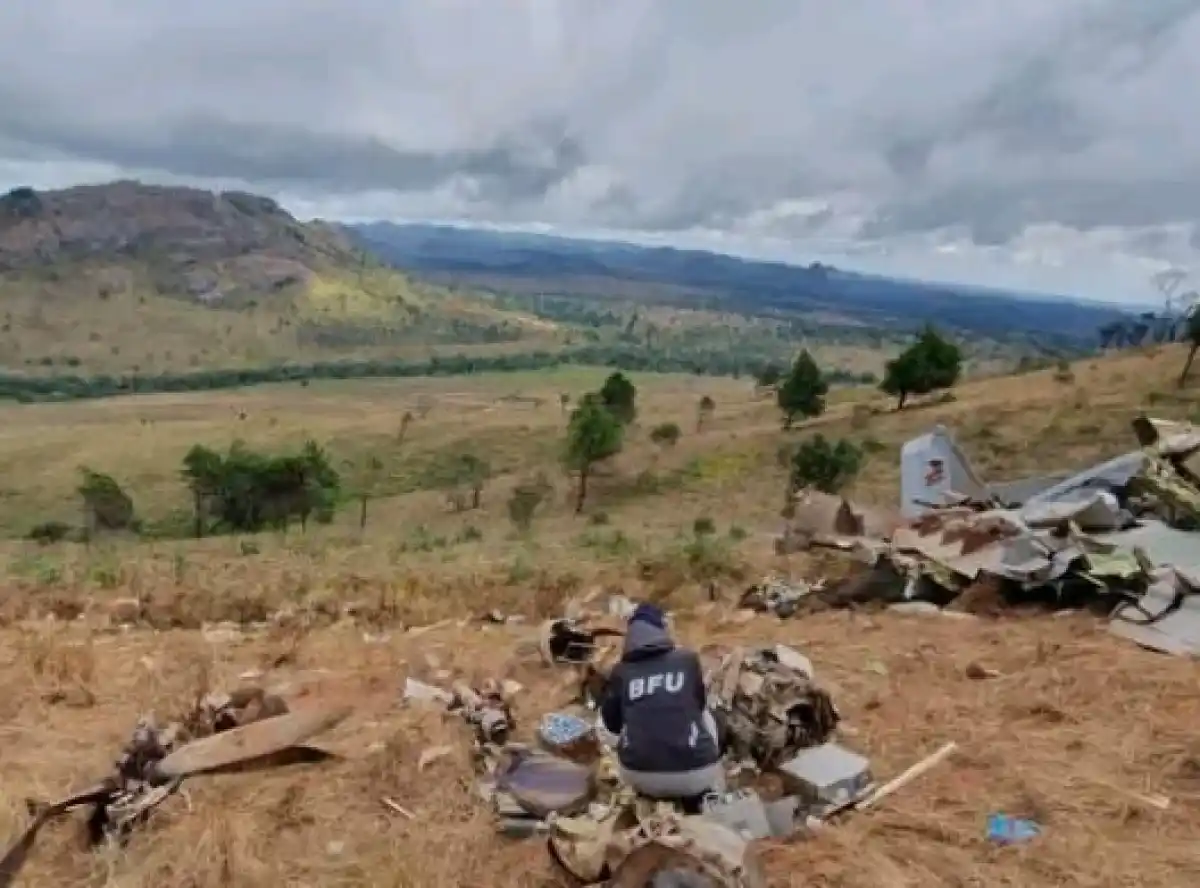 German Investigation into VP’s Plane Crash Nears Conclusion