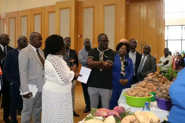 Ginger market offers fresh hope on farmers