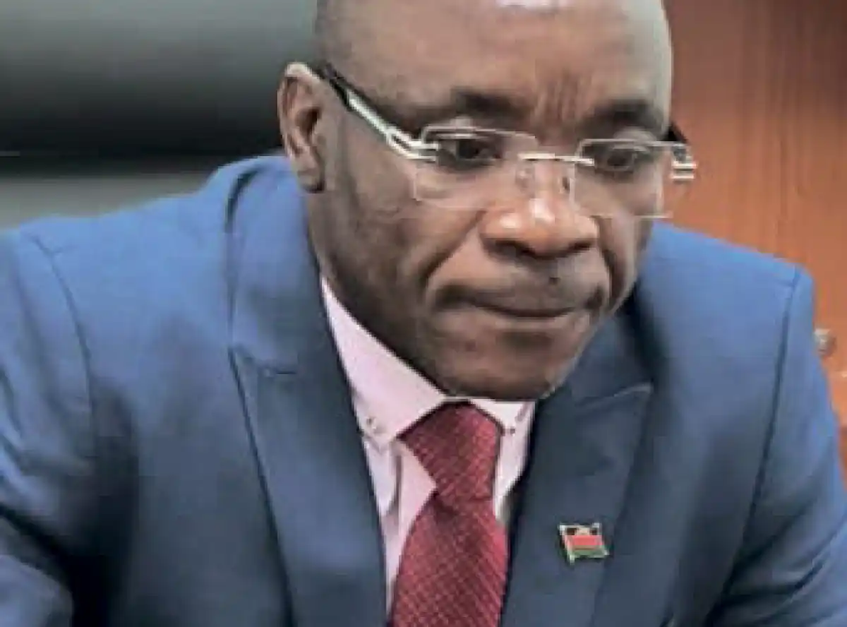 Government appoints acting Immigration chief