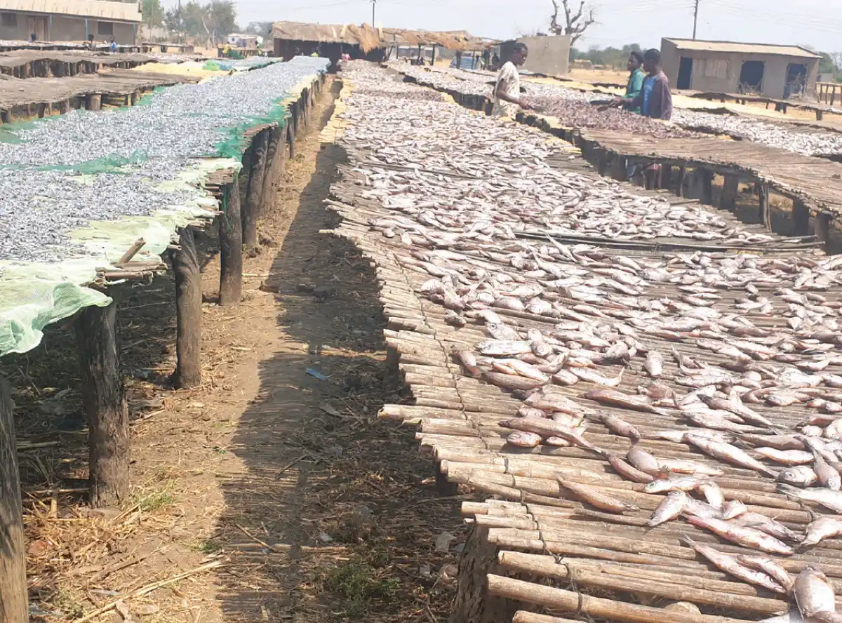 Government cautions on risks from biodiversity loss