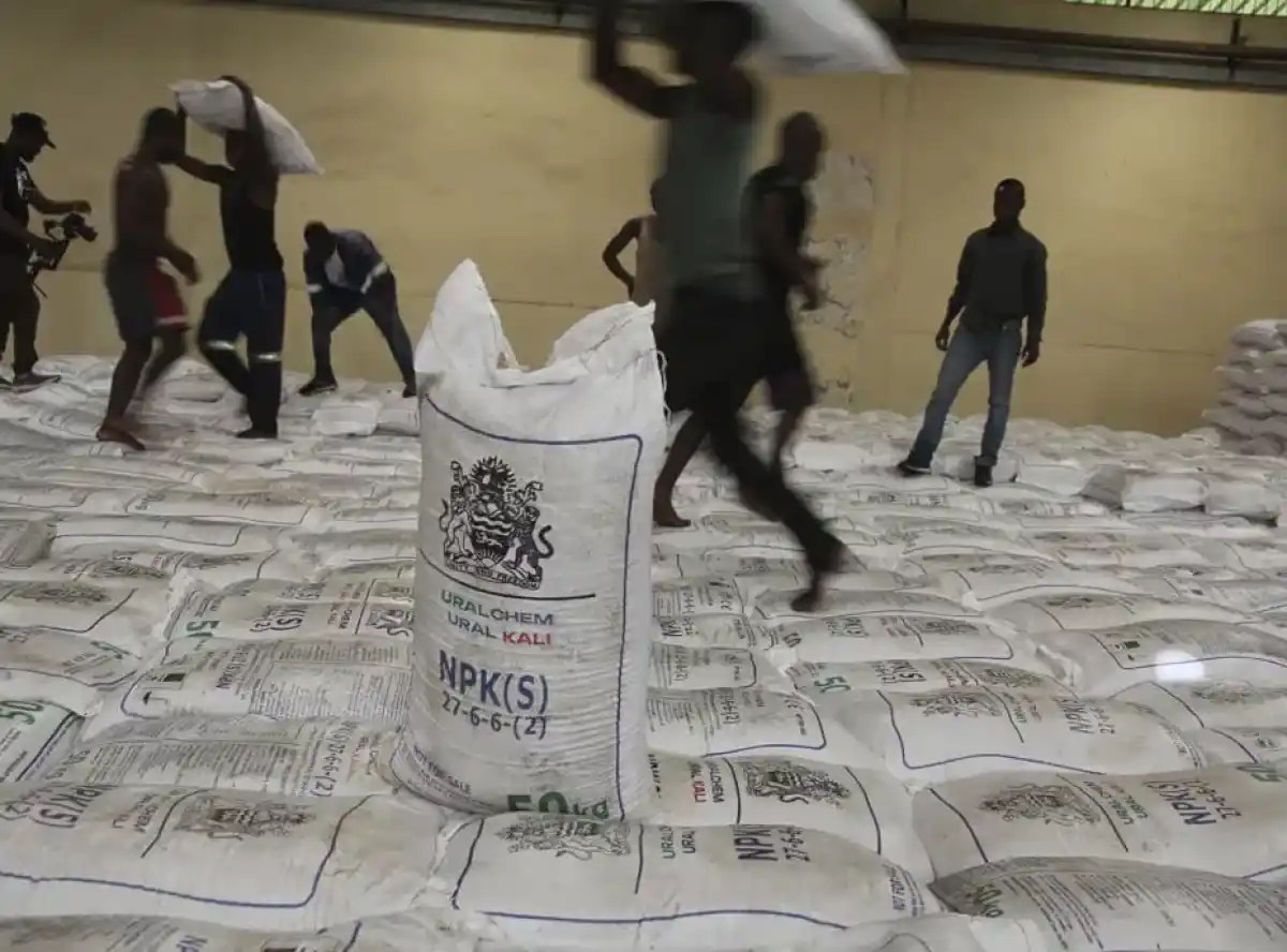 Govt undecided on future of subsidy programme