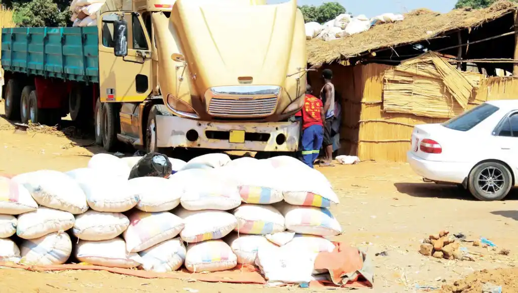Importation ban garners debate
