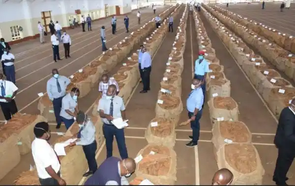 Limbe Auction Floors open tomorrow