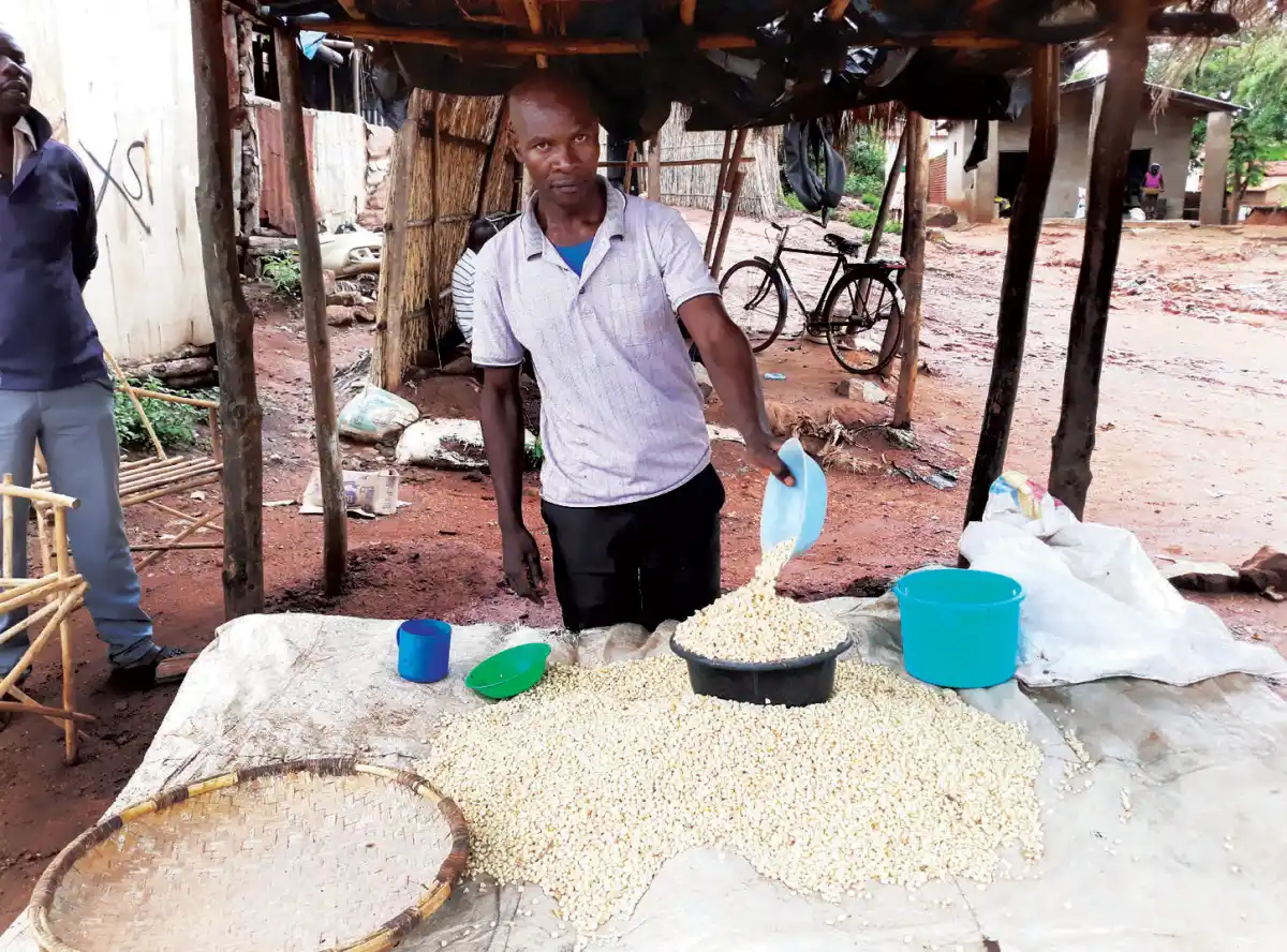 Maize prices keep rising, go up 32%