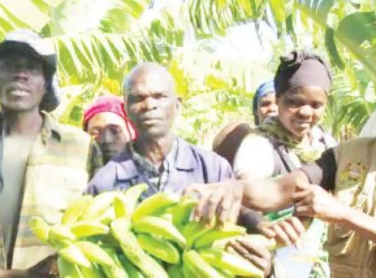 Mangochi communities hail farmer field schools