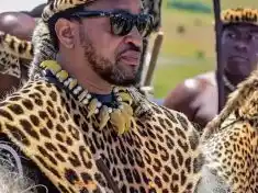 MisuZulu KaZwelithini Kayingeni eMtheto