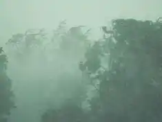 Namondwe Jude wafika ndi chifunga komanso mvula yowaza mu mzinda wa Blantyre