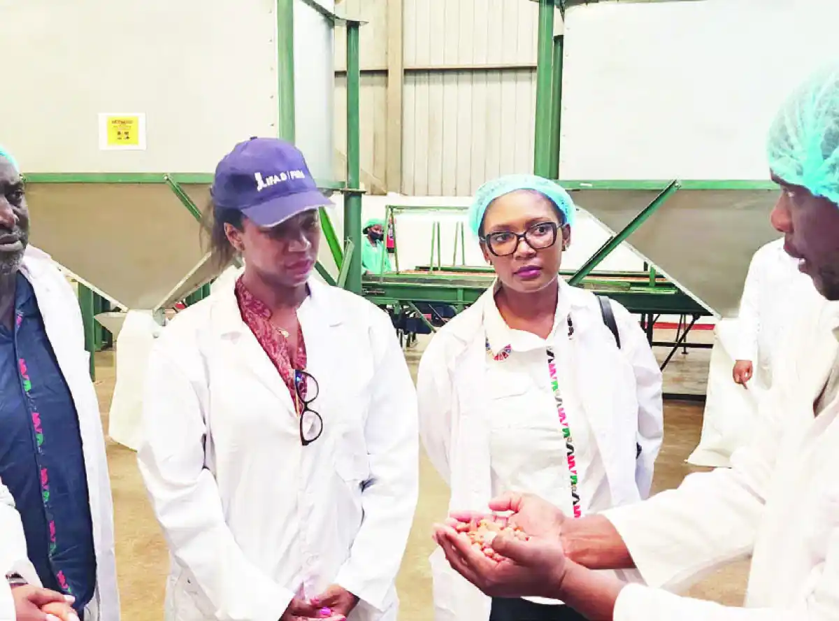 Nasfam gets K14bn grant