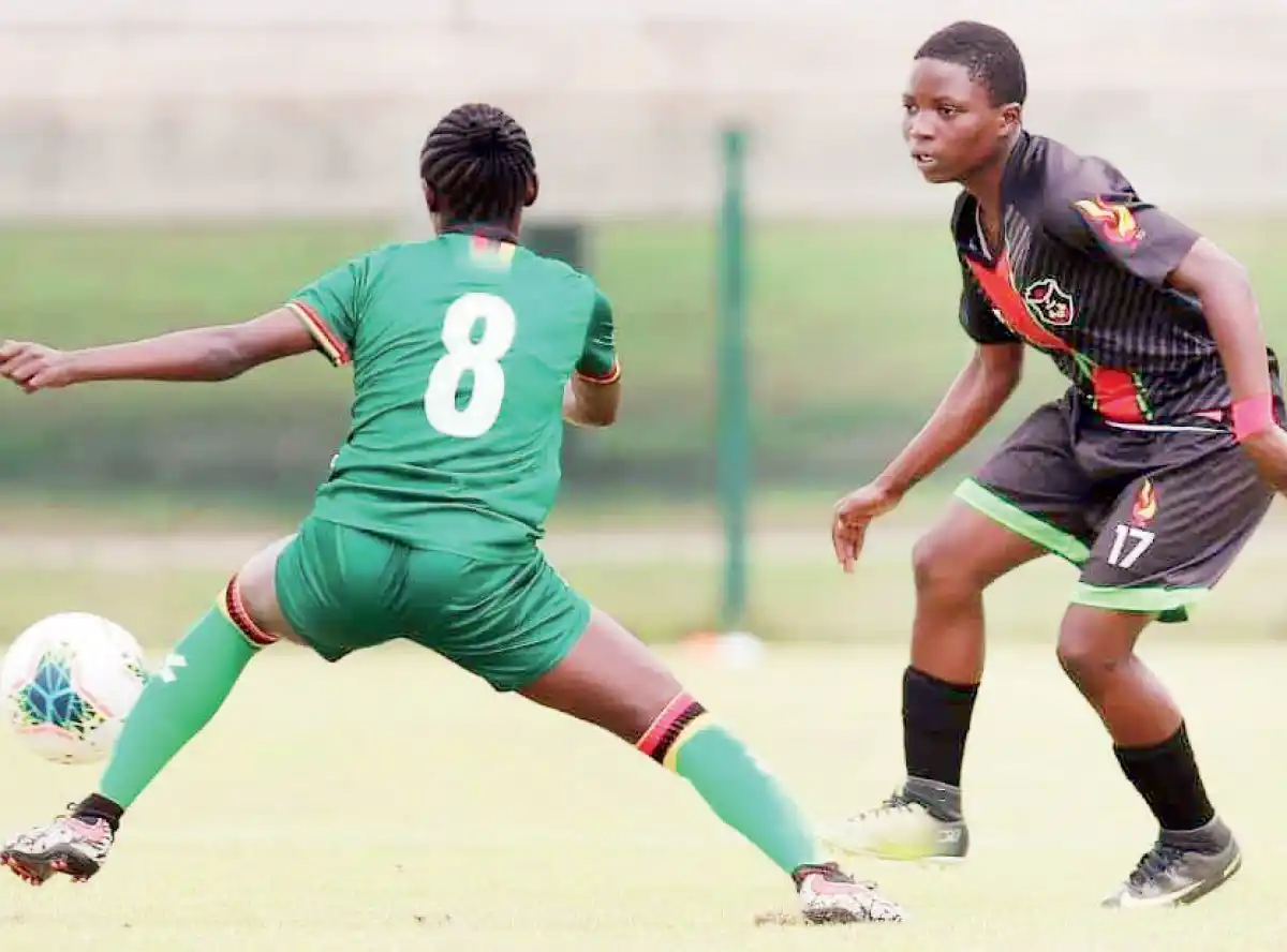 Scorchers eye Zambia match