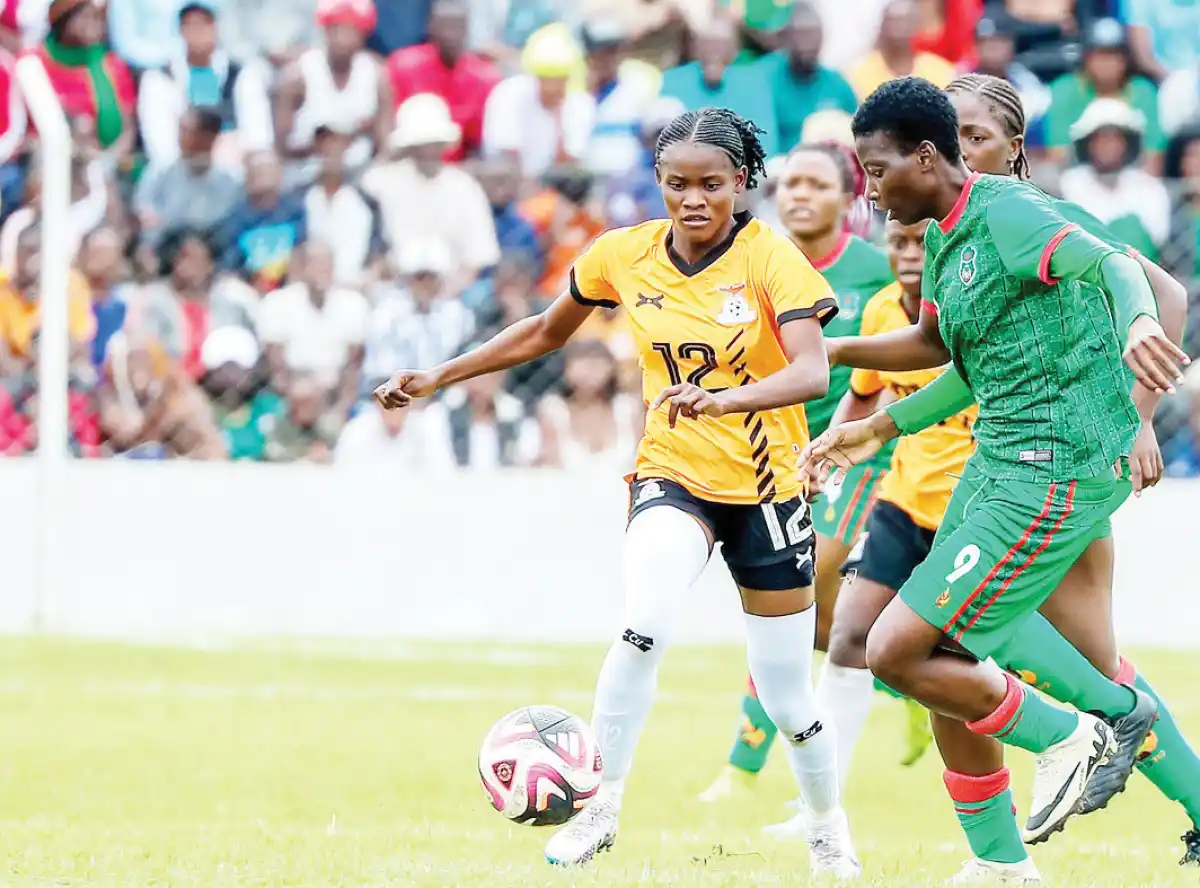 Scorchers seek redemption