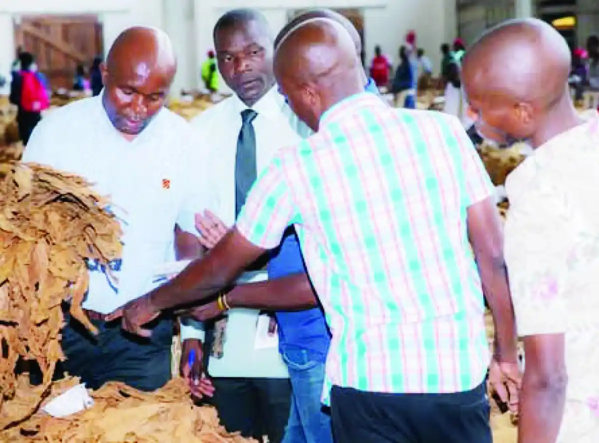 Tobacco earns Malawi $15 million