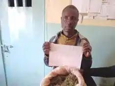 Two Arrested for cannabis possession at Dzaleka Refugee Camp