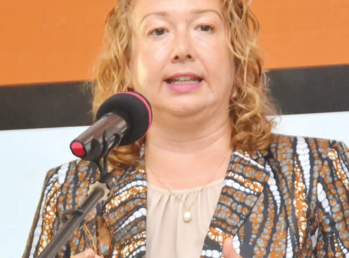 UK envoy, expert challenge private sector amid aid cuts