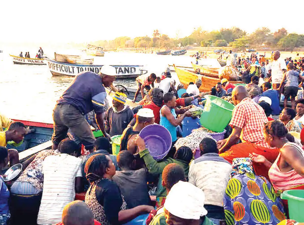 Upsurge in fishing strains monitoring