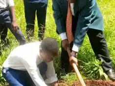 Wildlife society joins Malosa students in tree planting drive